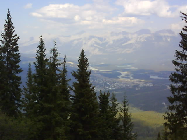 Alberta 055 Jasper From Whistlers Mountain Treeline.jpg